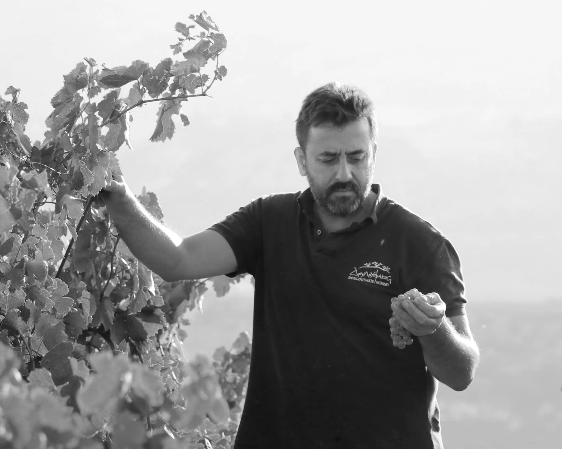 Douloufakis Nikos Winemaker from Crete, Greece