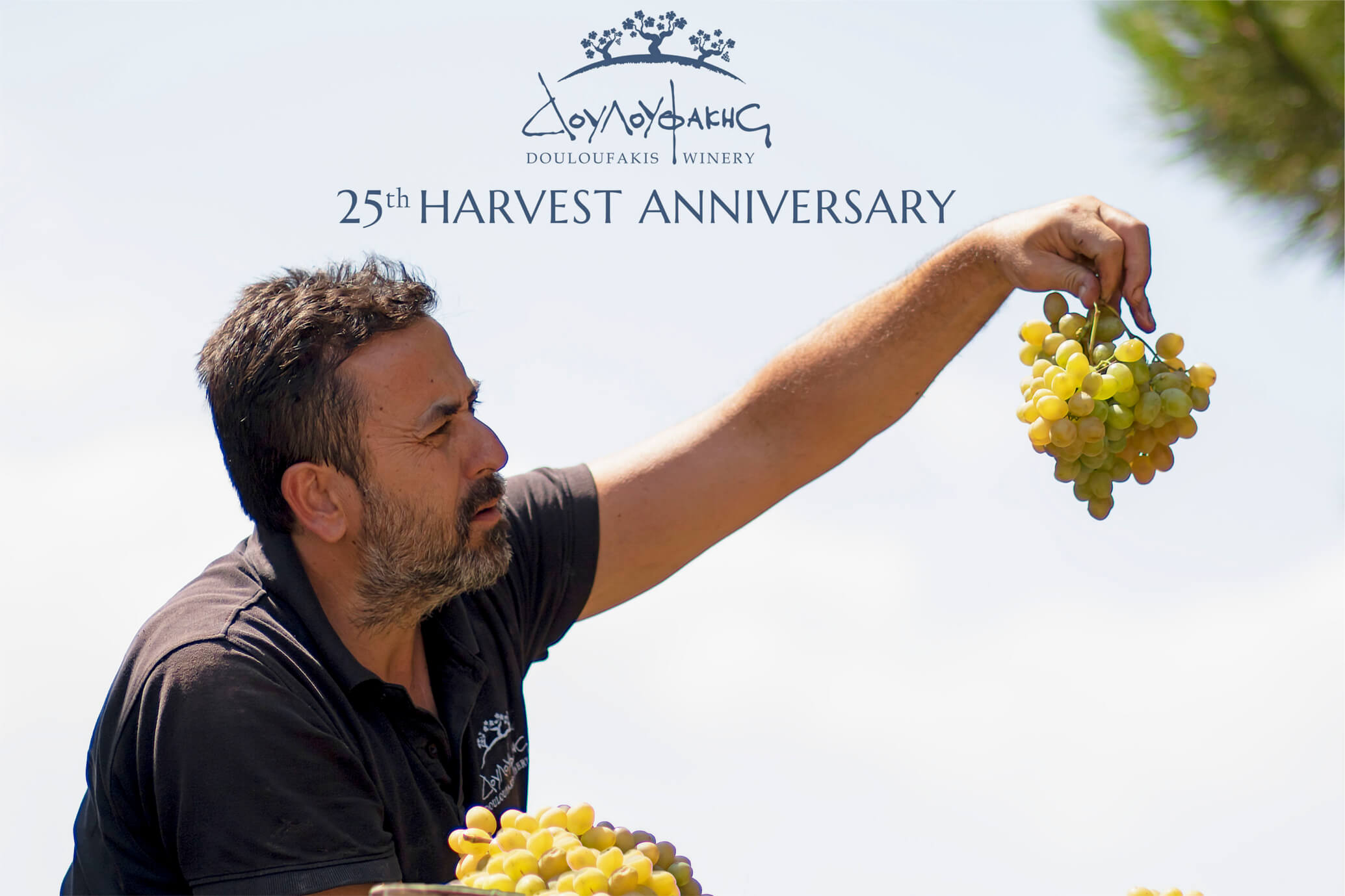 Douloufakis Winery: 25 Harvest seasons - 25 challenges