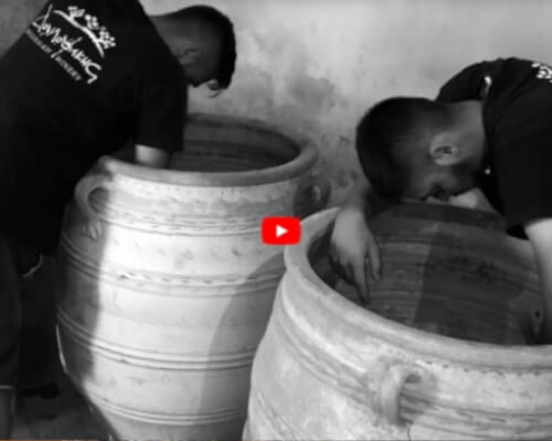 Winemaking in amphoras